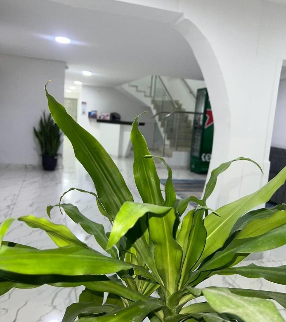 Boutique Hotel